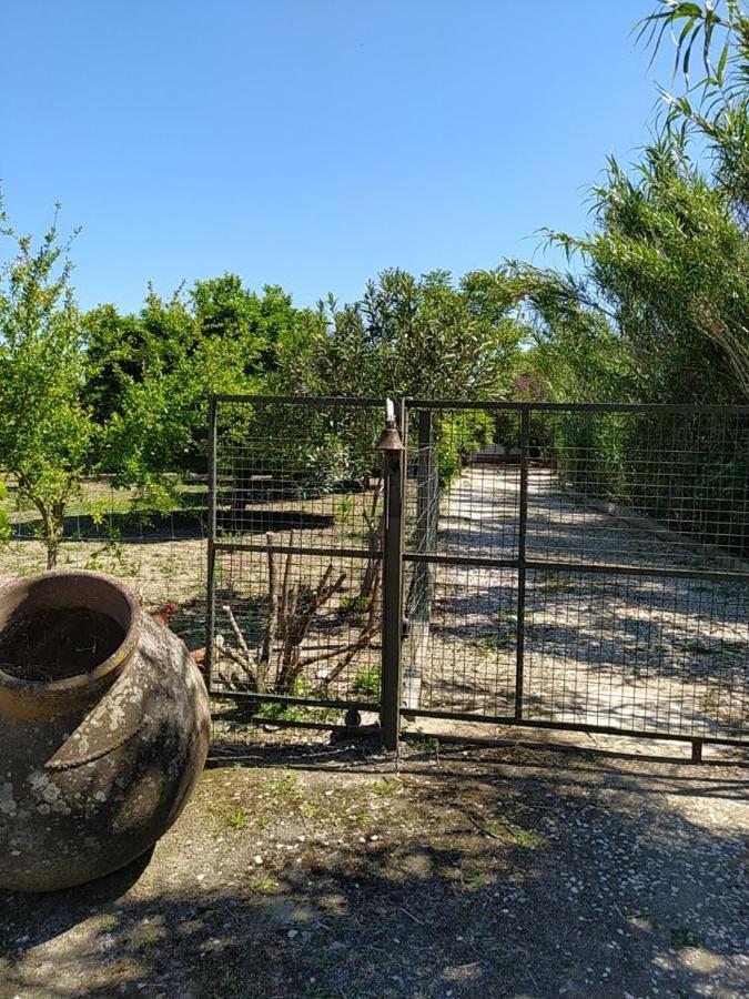 Quinta Da Ponte Das Hortas 3 Elvas Exteriör bild